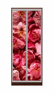 шкаф-купе цветы 21 bms