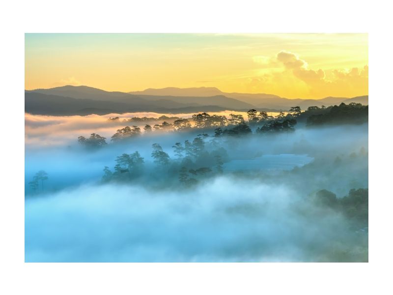 изображение foggy landscape 120x80